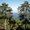 2012.01.21. - Golden Beach, Hegyek